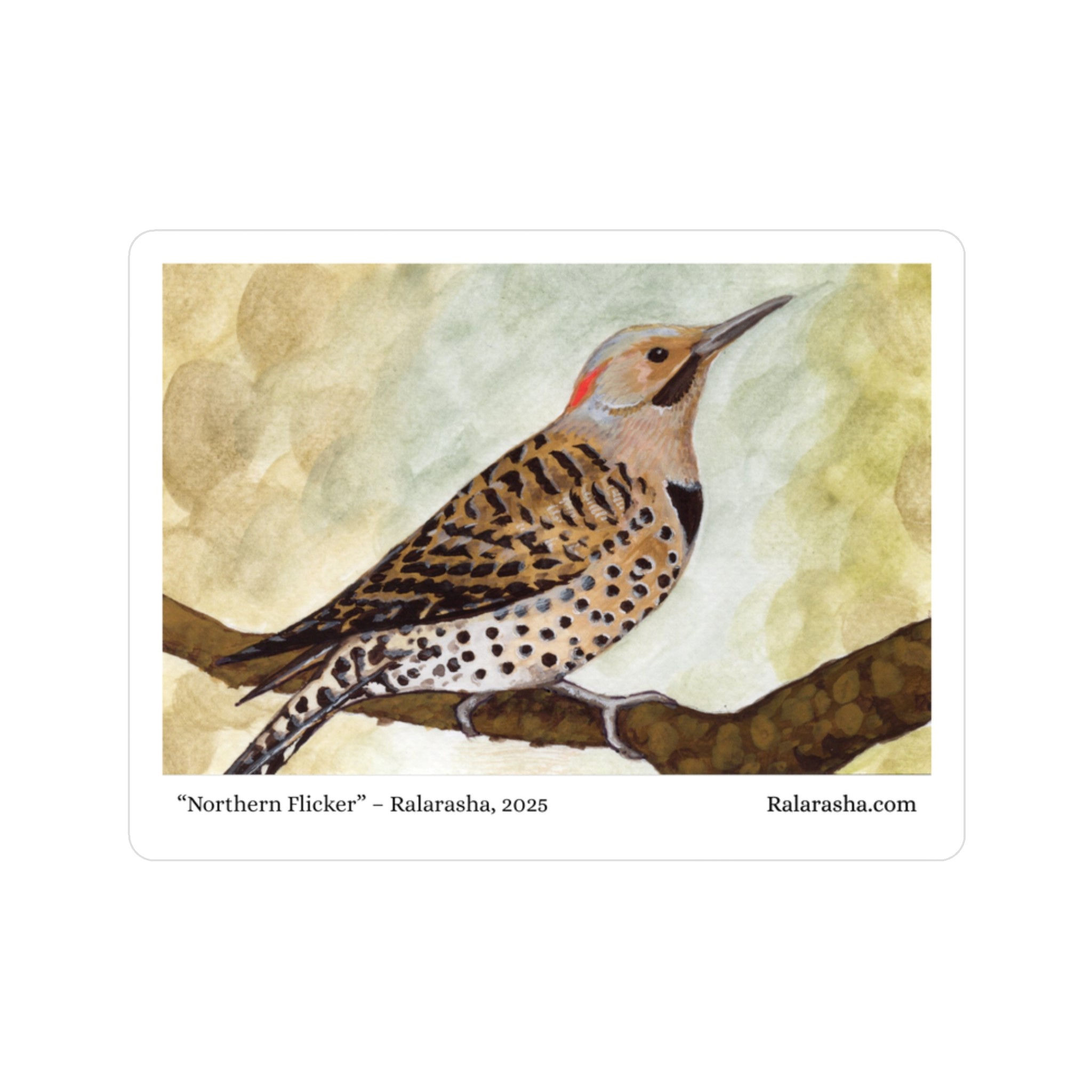 Northern Flicker Bird Painting Vinyl Decal | Bird Sticker