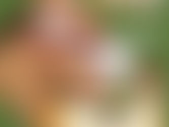 Consigli viaggio Giappone inverno: come affrontare il freddo come un locale