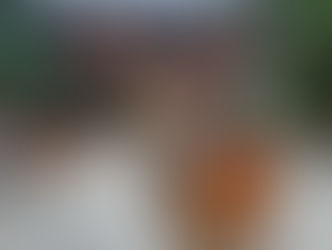 Shikayose a Nara: L’Incantevole Richiamo dei Cervi 🦌🎵