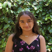 Screen Shot 2020-06-27 at 11.24.12 PM.pn