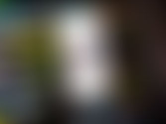 Is TikTok Safe?