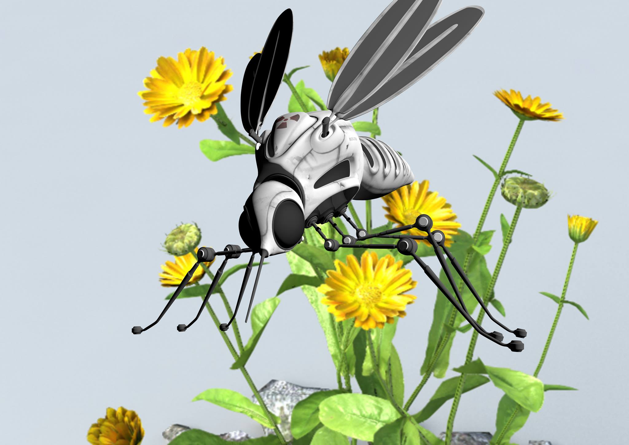 nature morte
