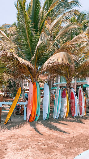 Grab a surfboard and enjoy the waves at the famous beaches around Casa Nopalito, Vacation Rental, Oceanfront, Beach, Puerto Escondido, Mexico