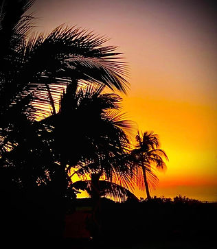 The sunset through the palm trees at the beach at Casa Escondida in Puerto Escondido, Mexico