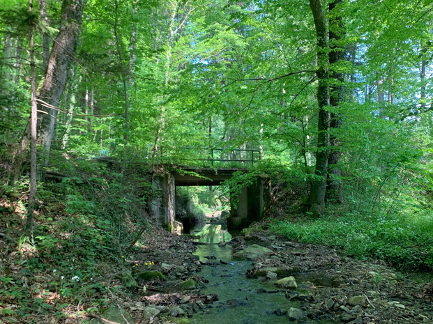 Klosterwald St. Pölten