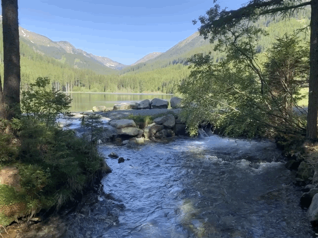 Ingeringsee im Sommer