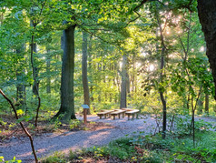 Sitzmöglichkeit am Andachtsplatz Klosterwald Wien Kahlenberg