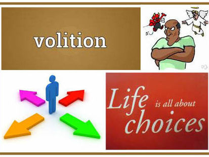 What is Volition?