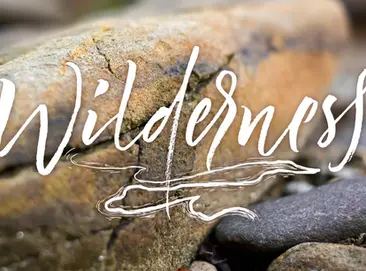 HOW TO ENTER THE WILDERNESS?