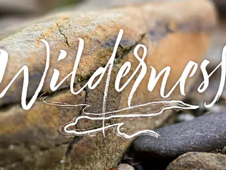 HOW TO ENTER THE WILDERNESS?