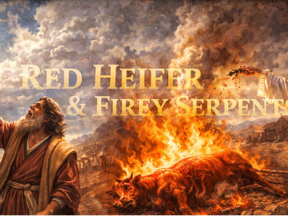 RED HEIFER & FIERY SERPENTS