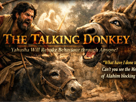 THE TALKING DONKEY