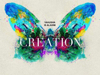A NEW CREATURE/CREATION