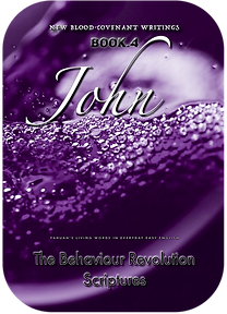 JOHN POSTER ROUNDED.png