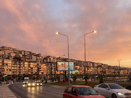 Yılan Mı Karınca?