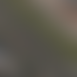 A Wild 7 Months At The 'Ring!