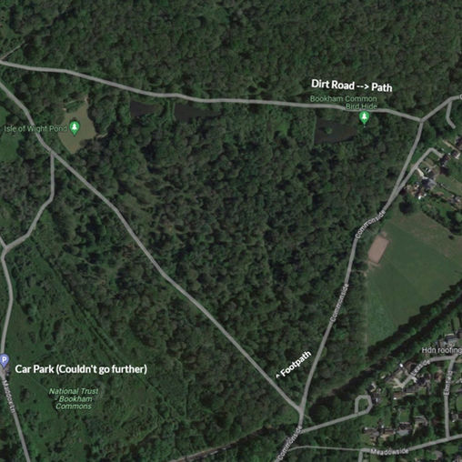 Jumping Into January!