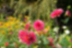 COMING SOON - You Pick Flower Workshop