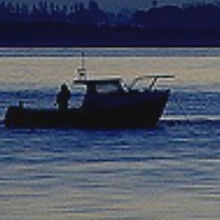 Havant Sea anglers.png