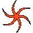 orange octo.gif