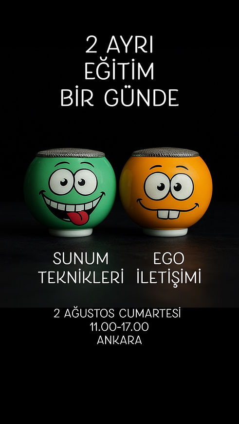 TOLGABARESUNUM.jpeg