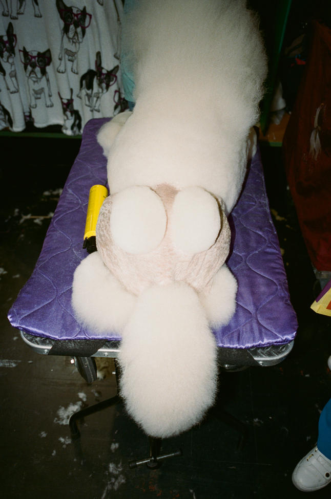 C41_Submission-17.jpg