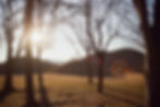 000033_edited_edited.jpg