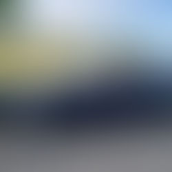 Chelsea's 1967 Ford Mustang on a sunny day in Washington State.