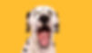 iStock-1126441815_WEB.jpg