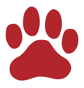Writer: Dee Veterinary Products