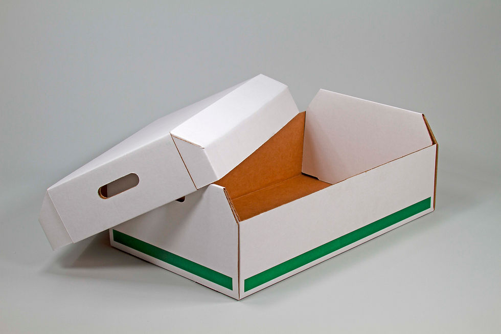 Thumbnail: DEE Burial Boxes - Medium (Case of 10)