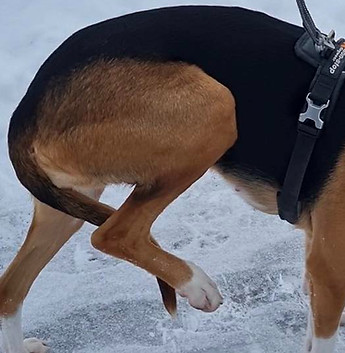 459496389_1742196486517788_7538081031440