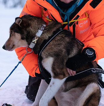 FB_IMG_1586722965117 (1).jpg