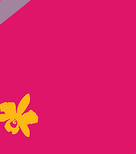 Coming soon "Orchid Beach"