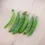 Miniature : Pois mangetout "Norli" (Pisum sativum)