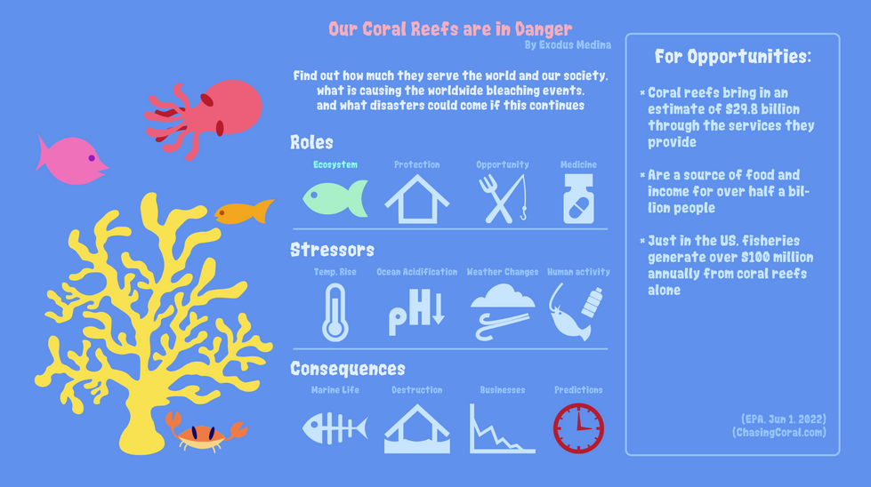 coral reefs.png