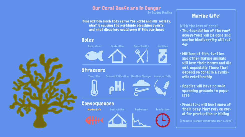 coral reefs 3
