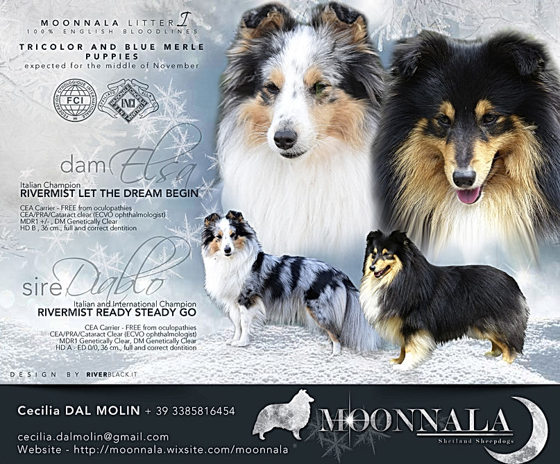 AD_litter I_diablo-elsa2020.jpg