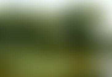 Le printemps arrive çà tombe bien la course LA GITE EN FOLIE est dans un peu plus de 2 mois ;)