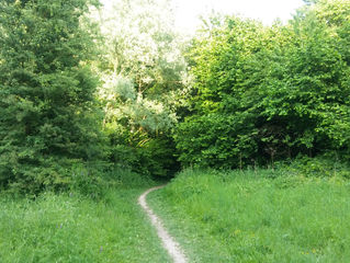 Autre passage de la gîte en folie 😜