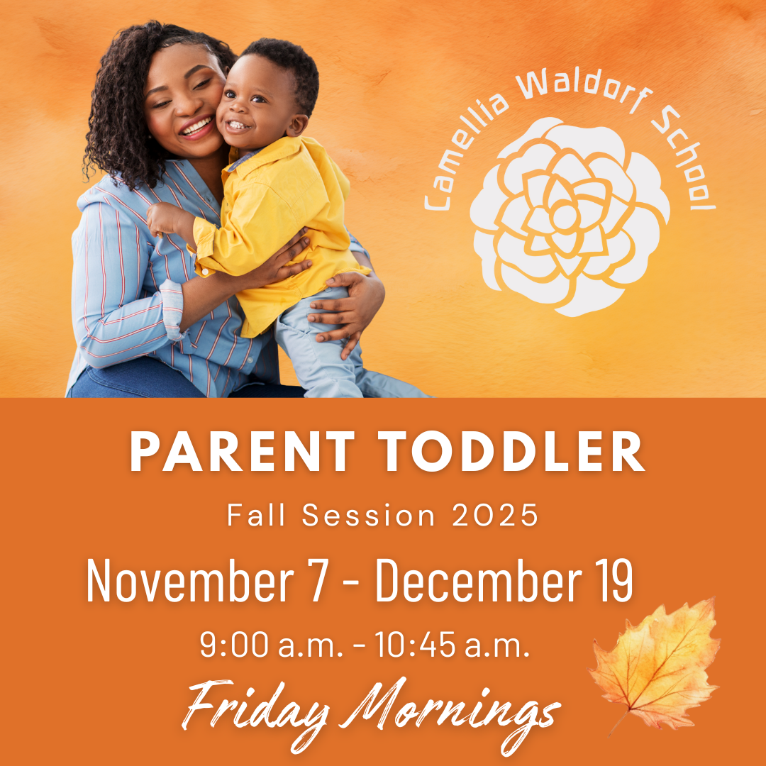Parent Toddler Fall 2025 Camellia Waldorf