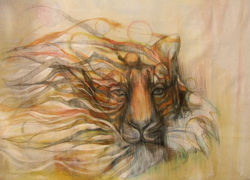 LC tiger - Copy