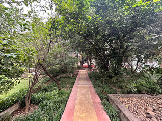 आईएमजी_8925.एचईआईसी