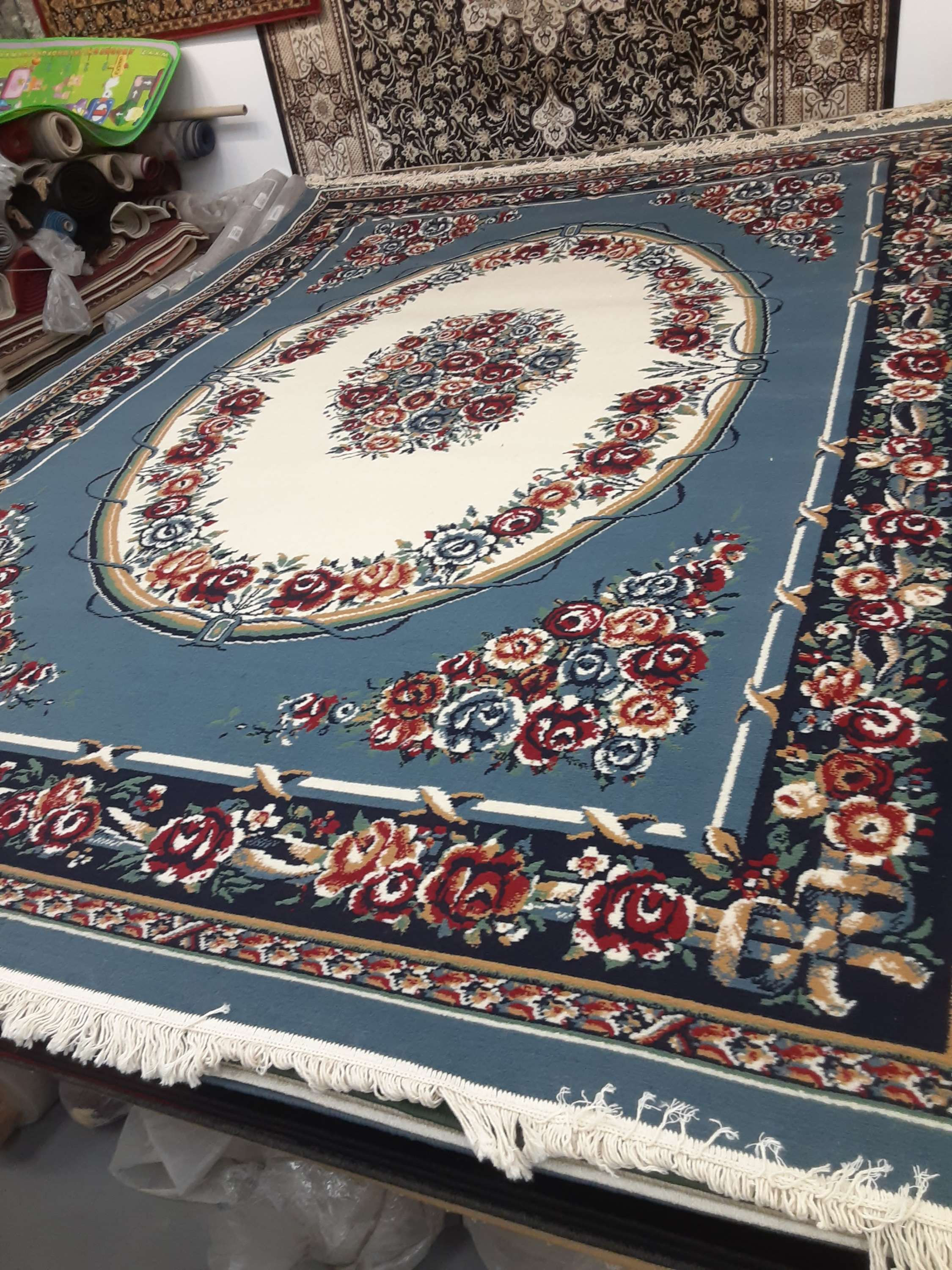 Modesty10 (8' by 11')