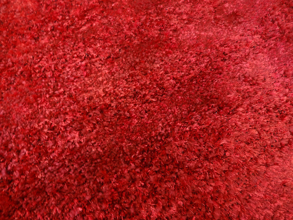 Shag fait à la main5 (4' par 6')