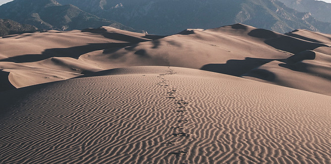 Traces de pas dans le sable
