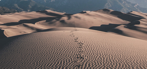 Footprints in the Sand