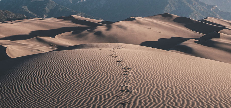 Footprints in the Sand