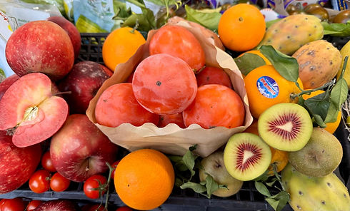 WhatsApp Image 2026-01-31 at 13.54.58.jpeg