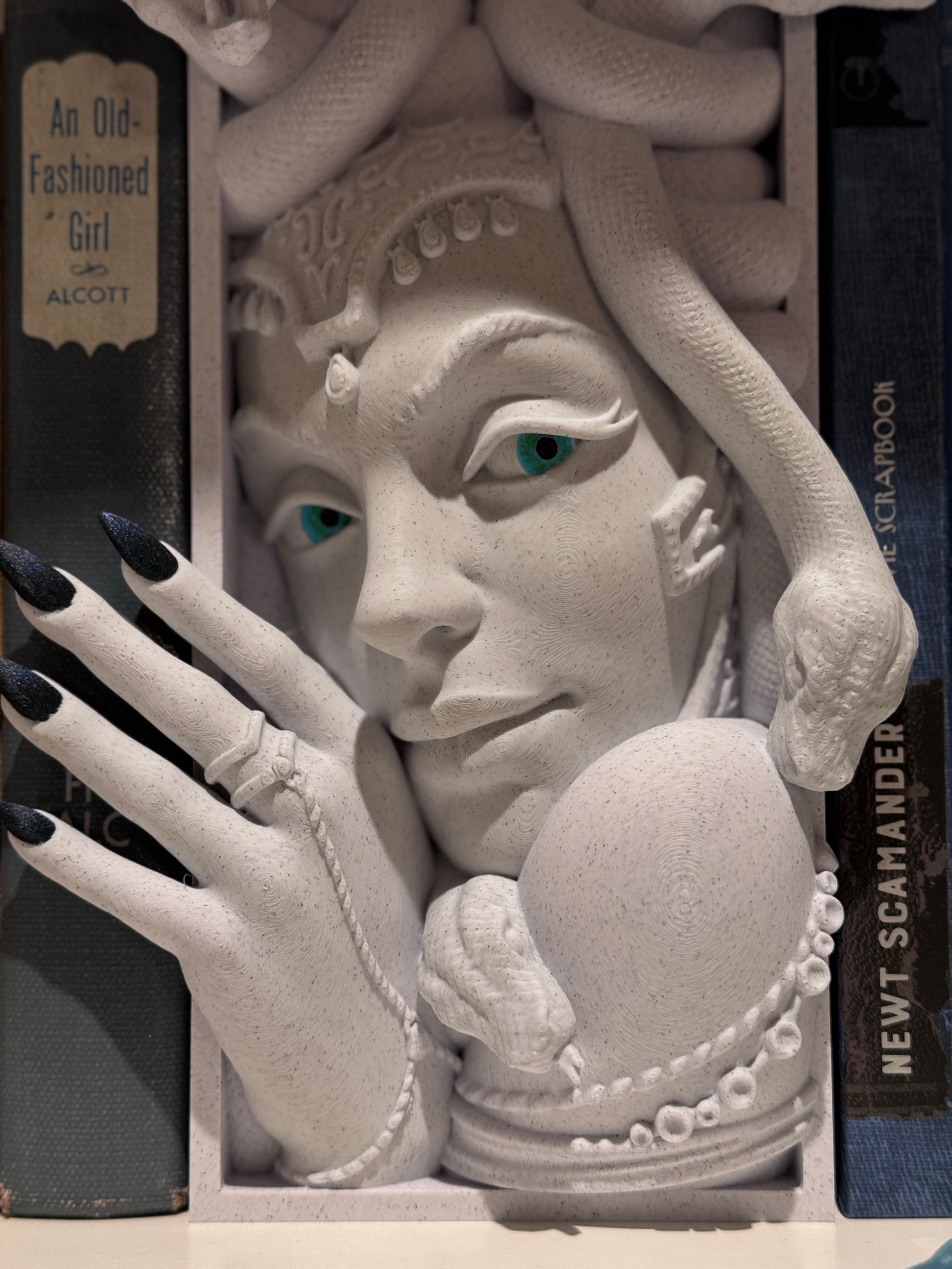 Medusa Head Book Nook